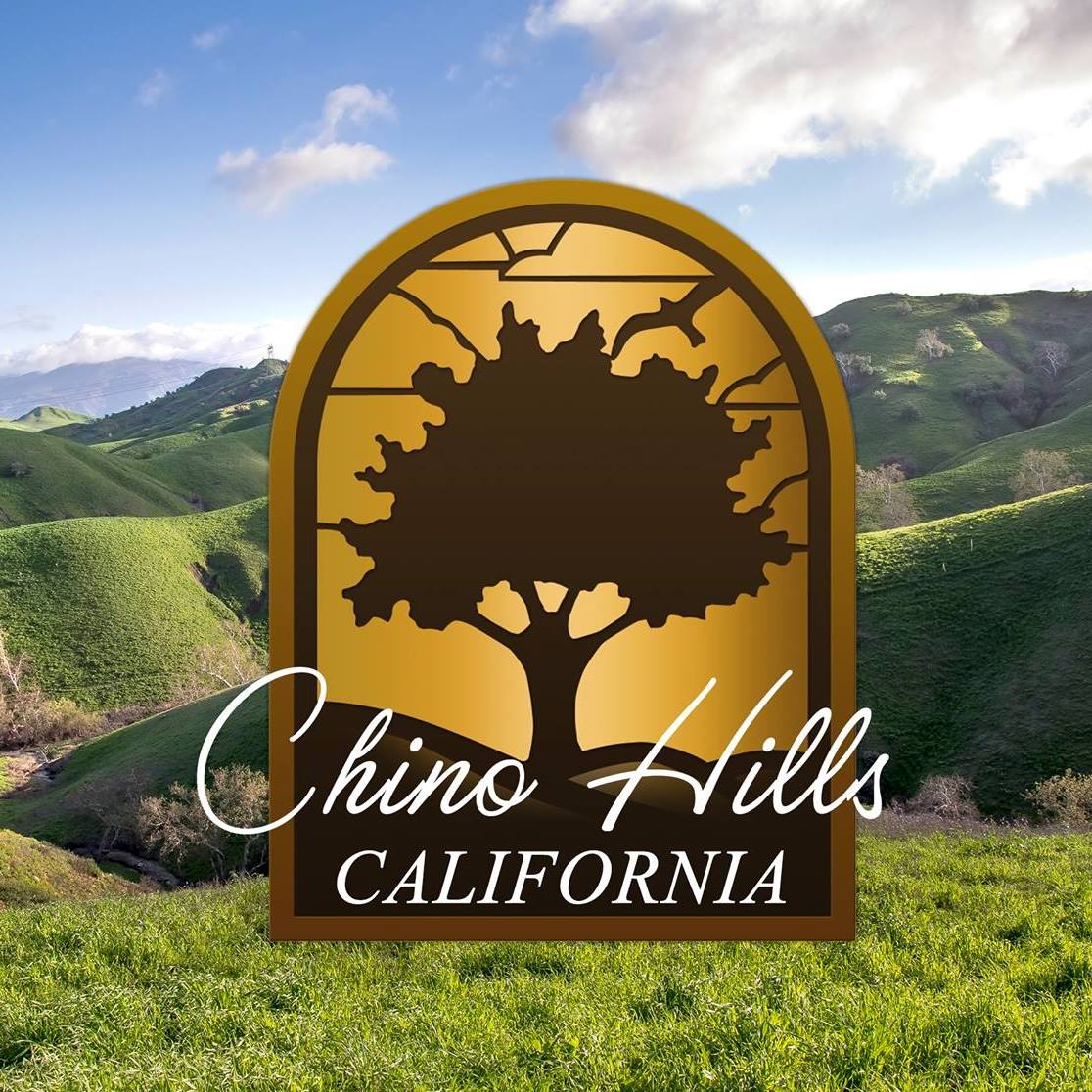 Chino Hills, San Bernardino County, CA Employment Dispute Law Firm