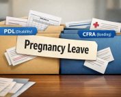 Folders labeled PDL (Disability) and CFRA (Bonding) hidden behind a generic “Pregnancy Leave” label.